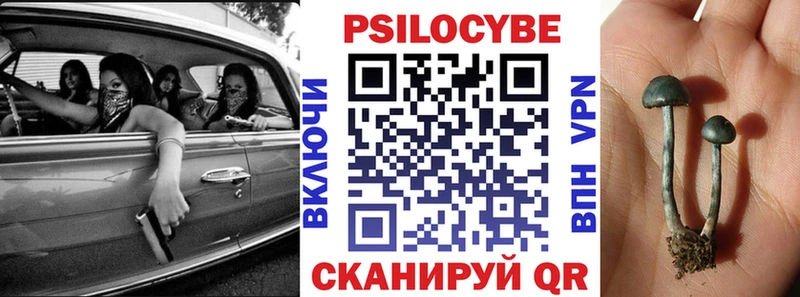 Галлюциногенные грибы Psilocybine cubensis  Коряжма 